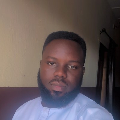 Mr. AYOMIDE OJO photograph