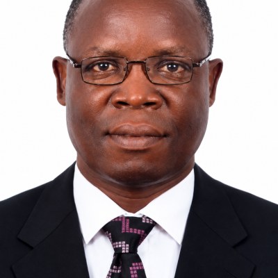 Prof. Wilfred Igboama photograph