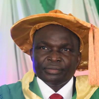 Prof. Babatunde AFOLABI photograph
